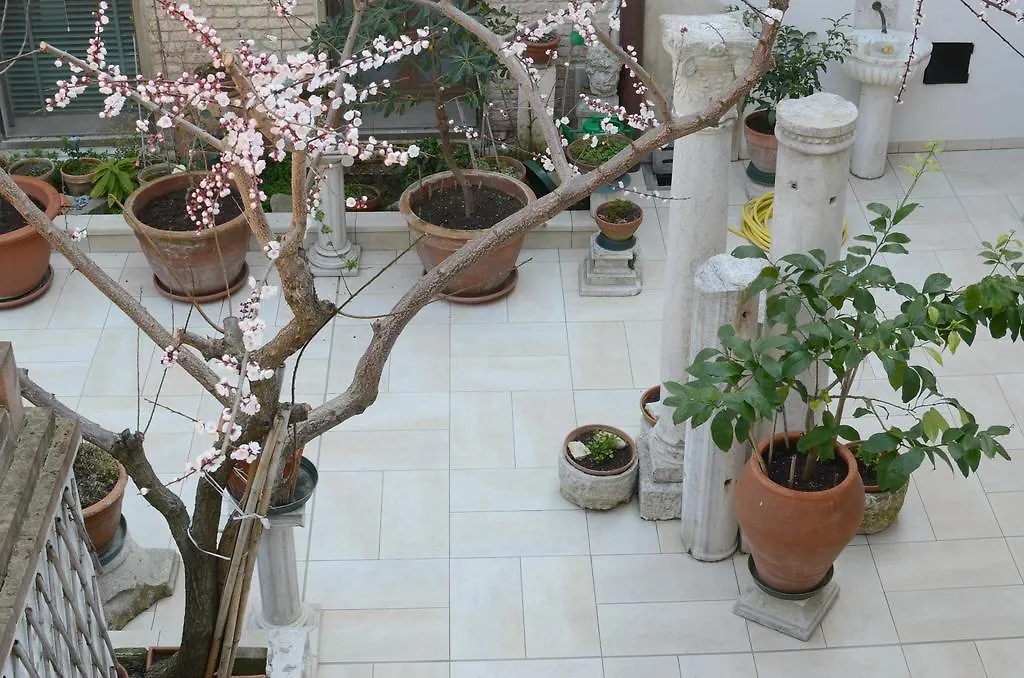 Alloggi Barbaria Guest House Venice