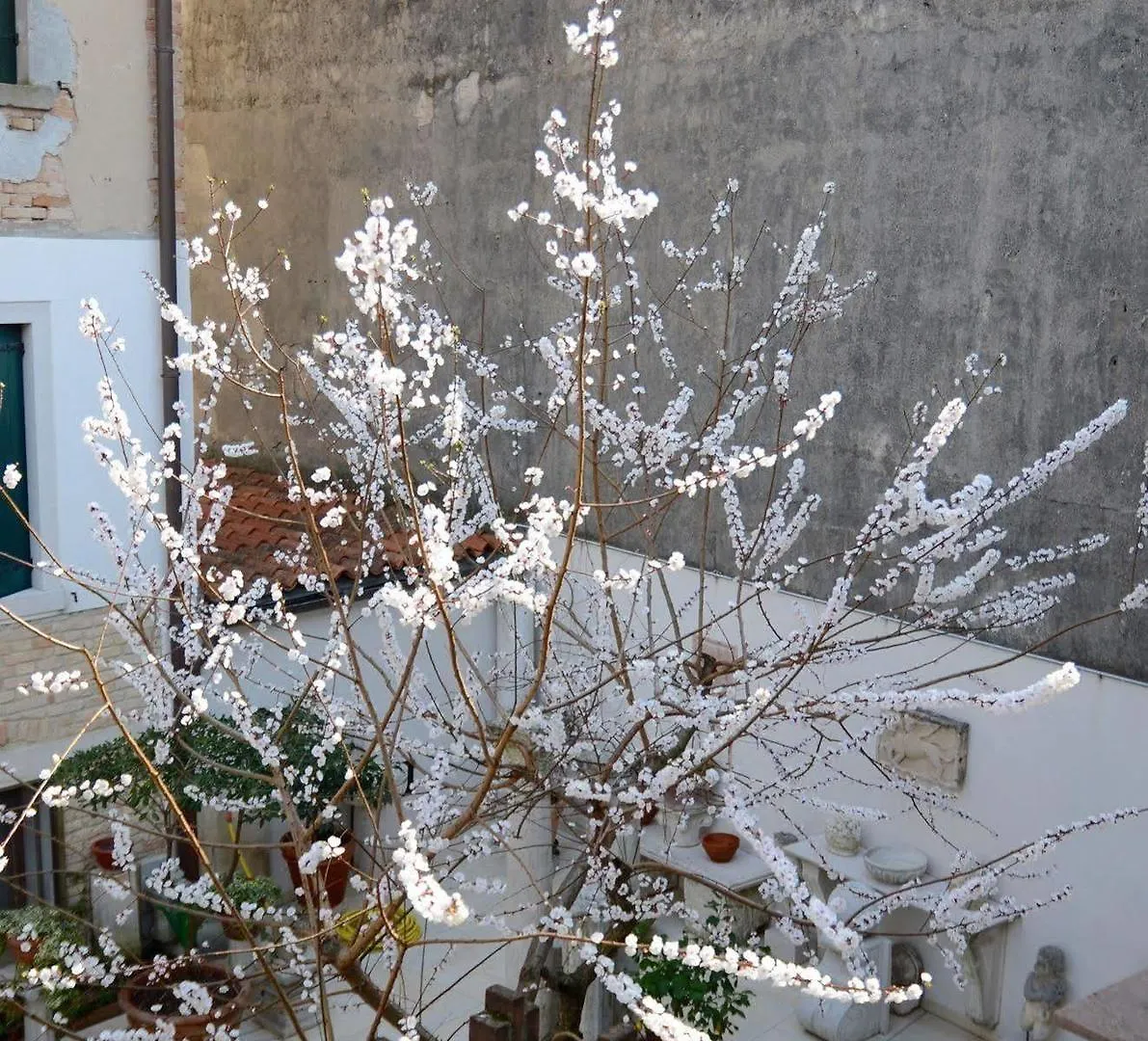 Alloggi Barbaria Guest House Venice 2*,  Italy